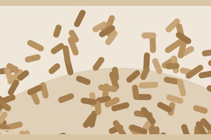 ENplus A1, DINplus: die Pellet-Zertifizierungen verstehen
